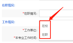 软考报名在职情况填写