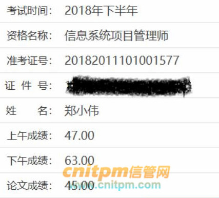 信息系统项目管理师成绩