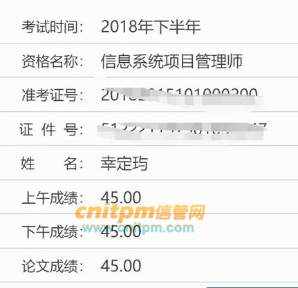 信息系统项目管理师成绩