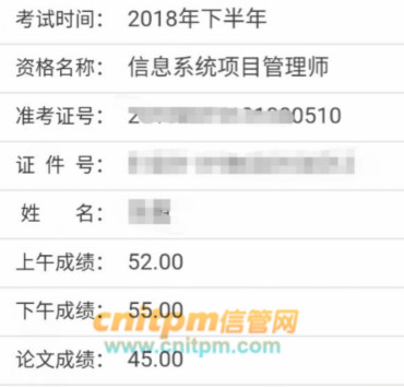 信息系统项目管理师成绩