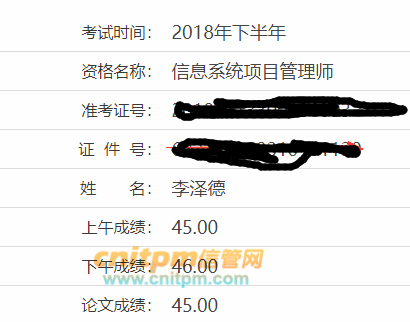 信息系统项目管理师成绩