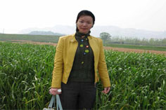 信息系统项目管理师优秀学员